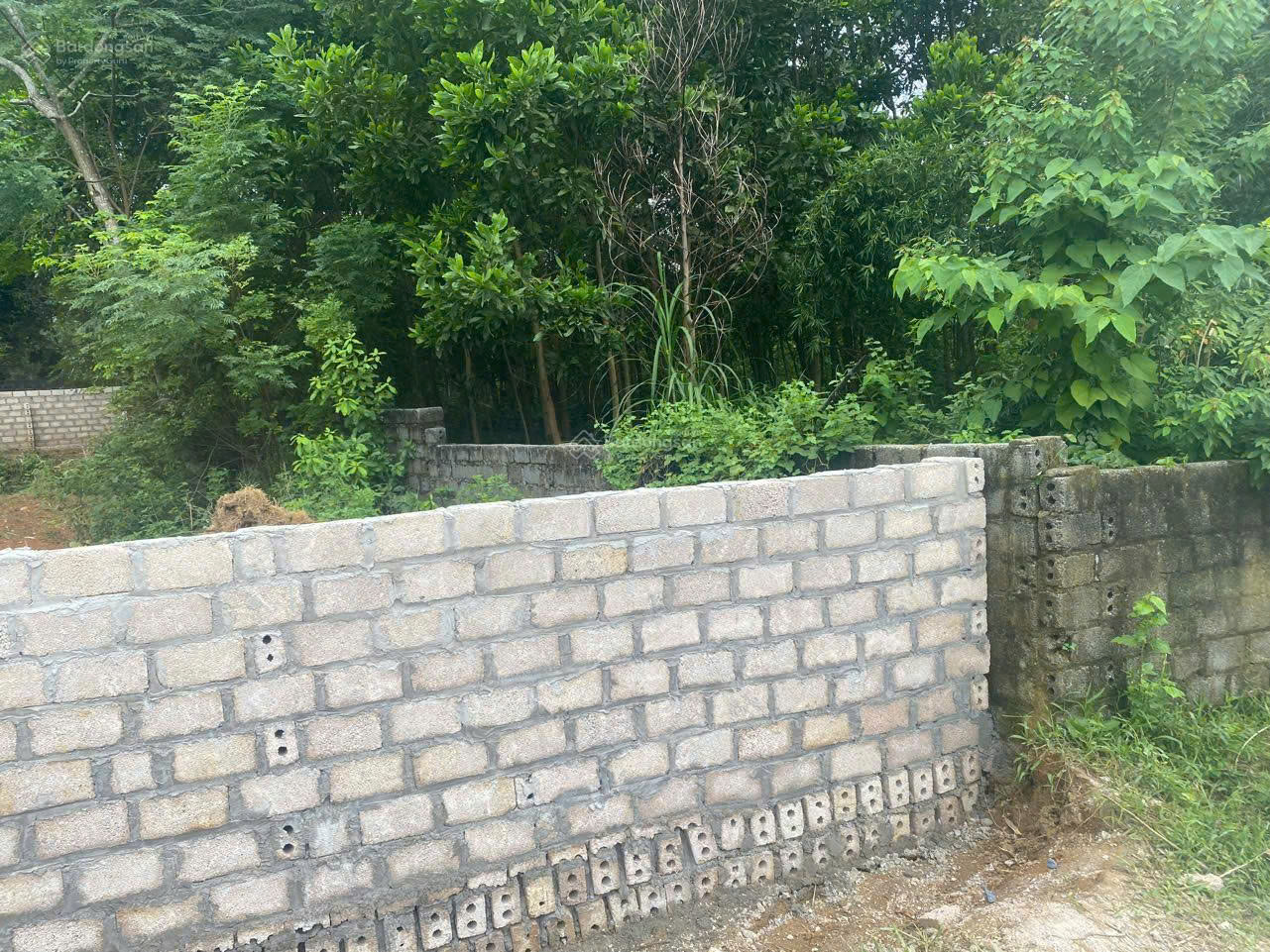 z7195367725276_529f7e0b4ba0af93f76c6861527d722c