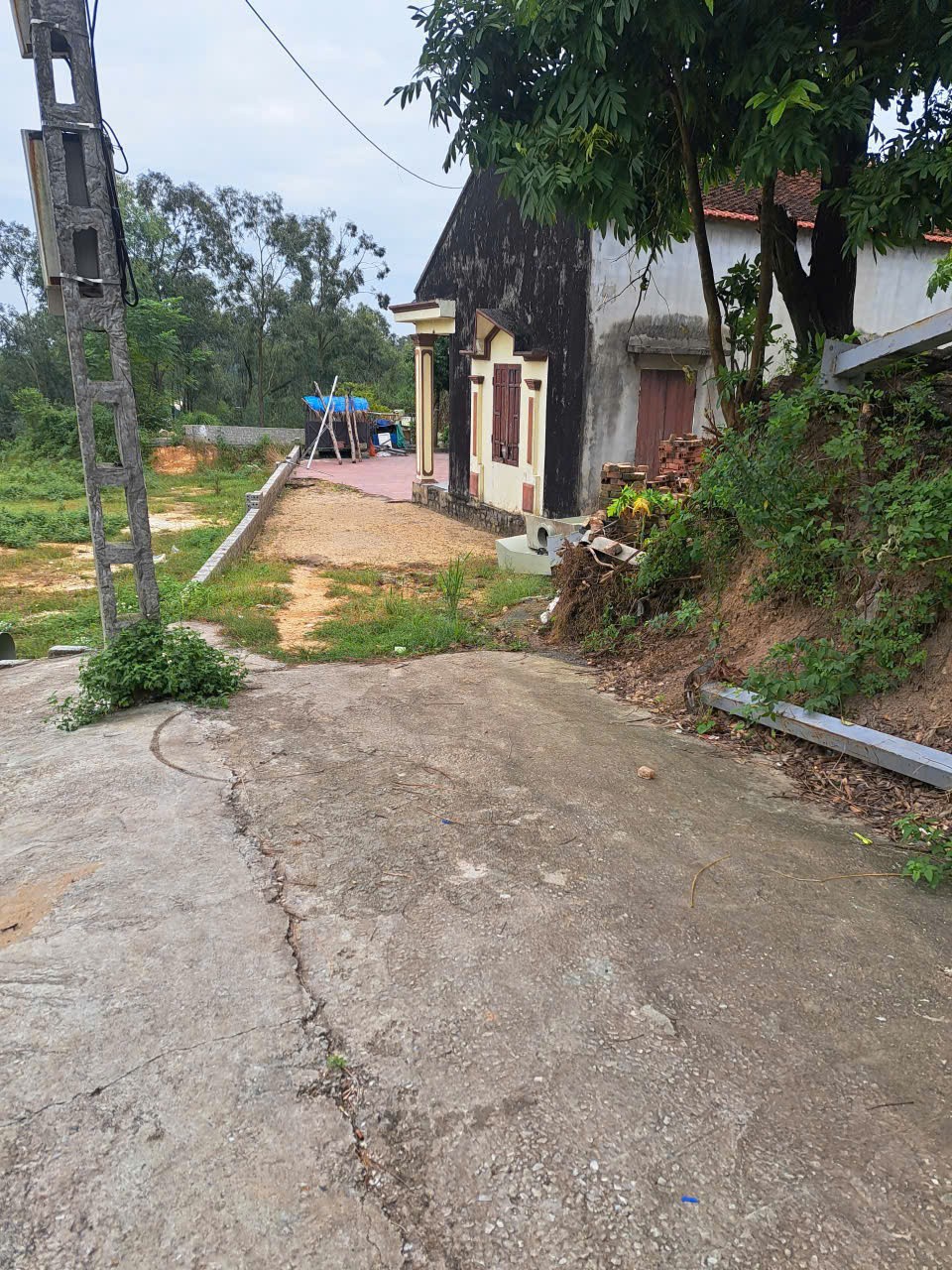 z7195677485951_defdfbc20b977b6fe097a7161bb77775