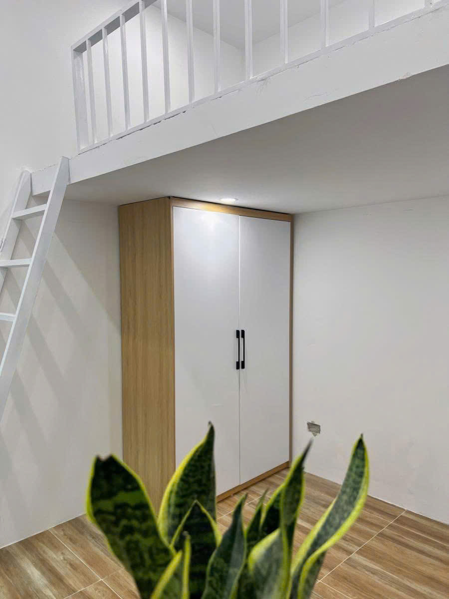 z7196516950994_6515ff097d121ac35cd43eb4015b9256