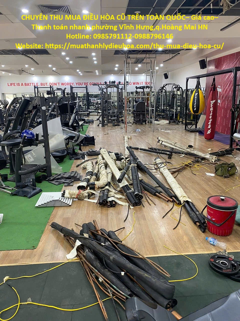 z7196896810556_8b5e89682ac05a7a30a2e7fa9ce5a59