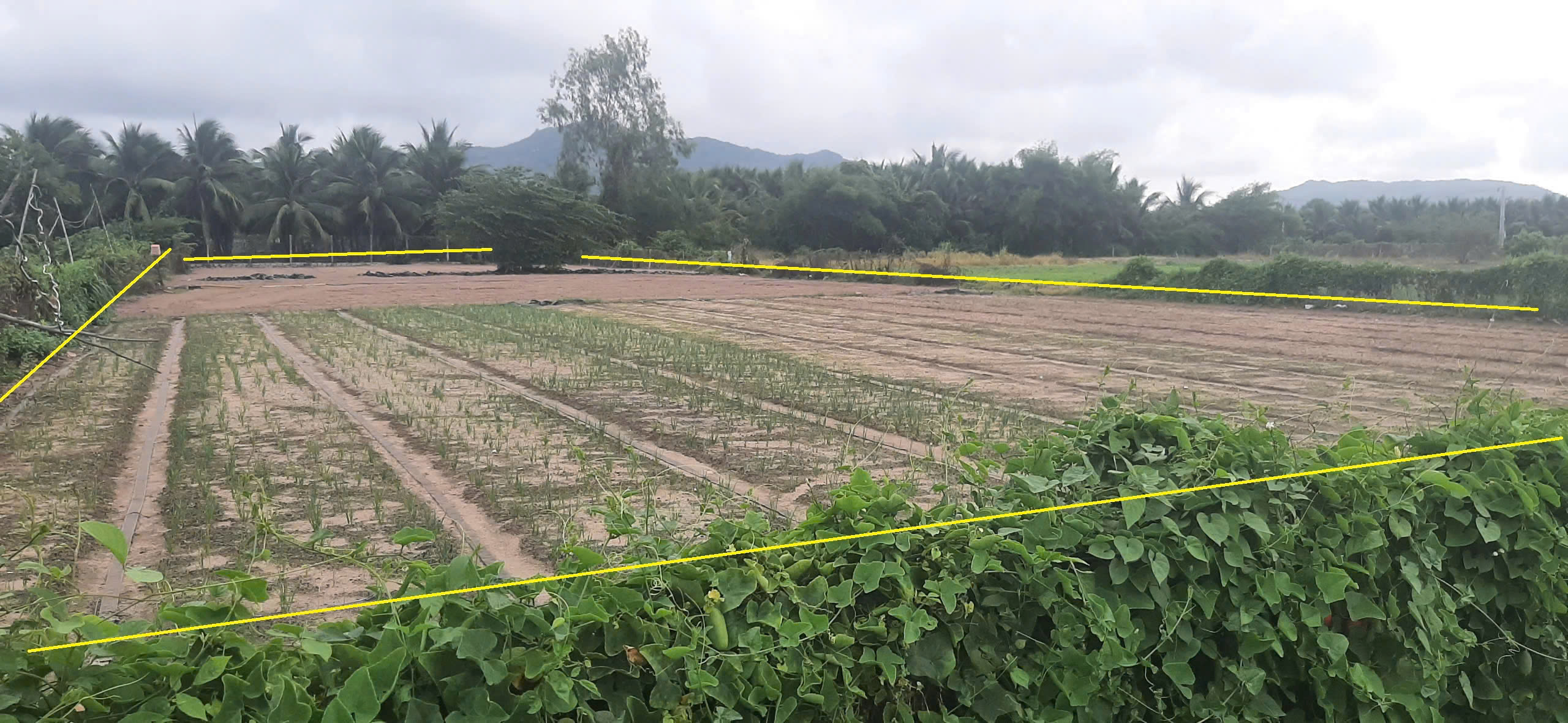 z7197607189151_ed5670f8d59a3b8d12ece2e3d0fc3410