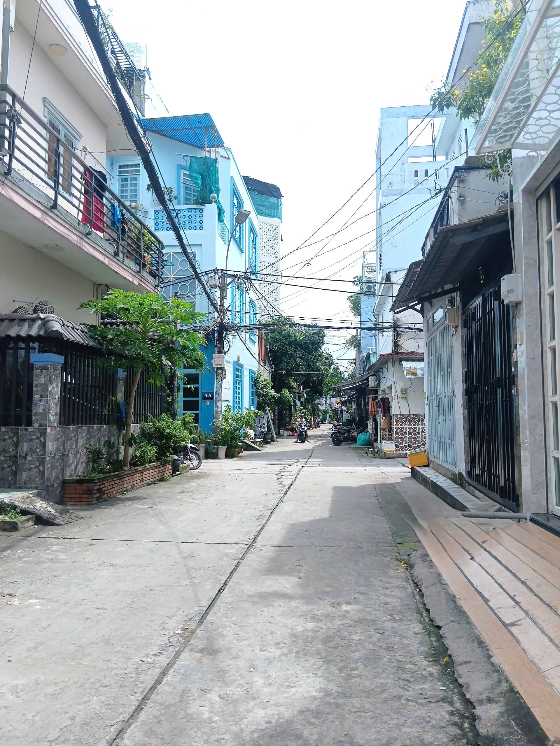 z7198140866420_46df29ef8594b6c1e5adf22c22535495