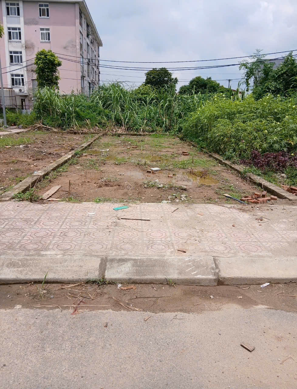 z7205075548968_a533b5d9020495bcd943422a839c4efb