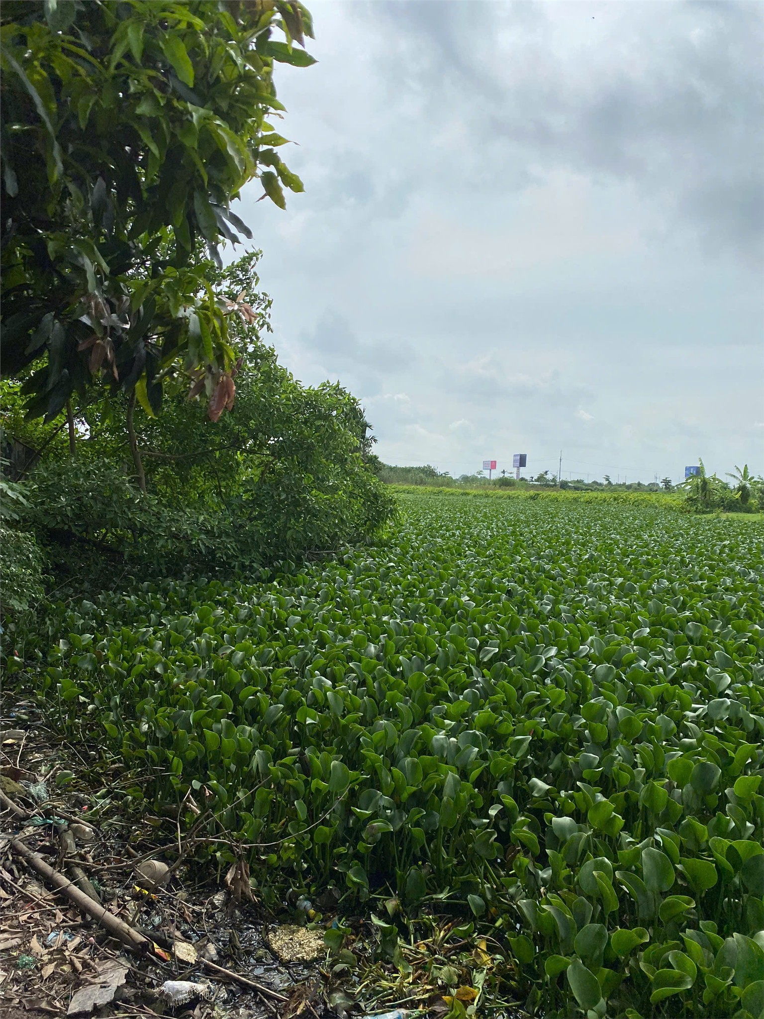 z7207082599130_64809612b74908adab01e4415d6d3136