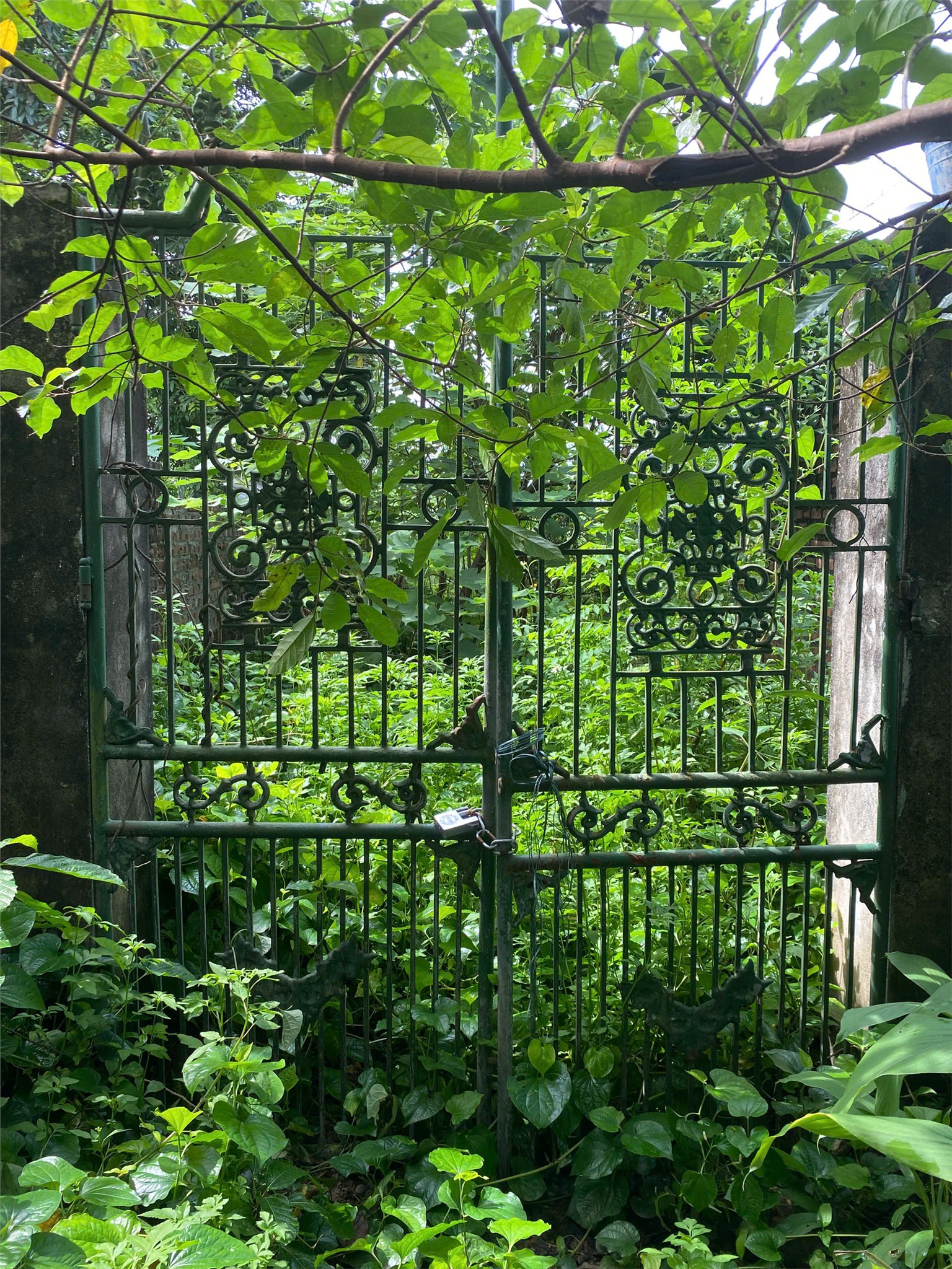 z7207082602461_c865a06cae4a13f69f1840f30021d8d5