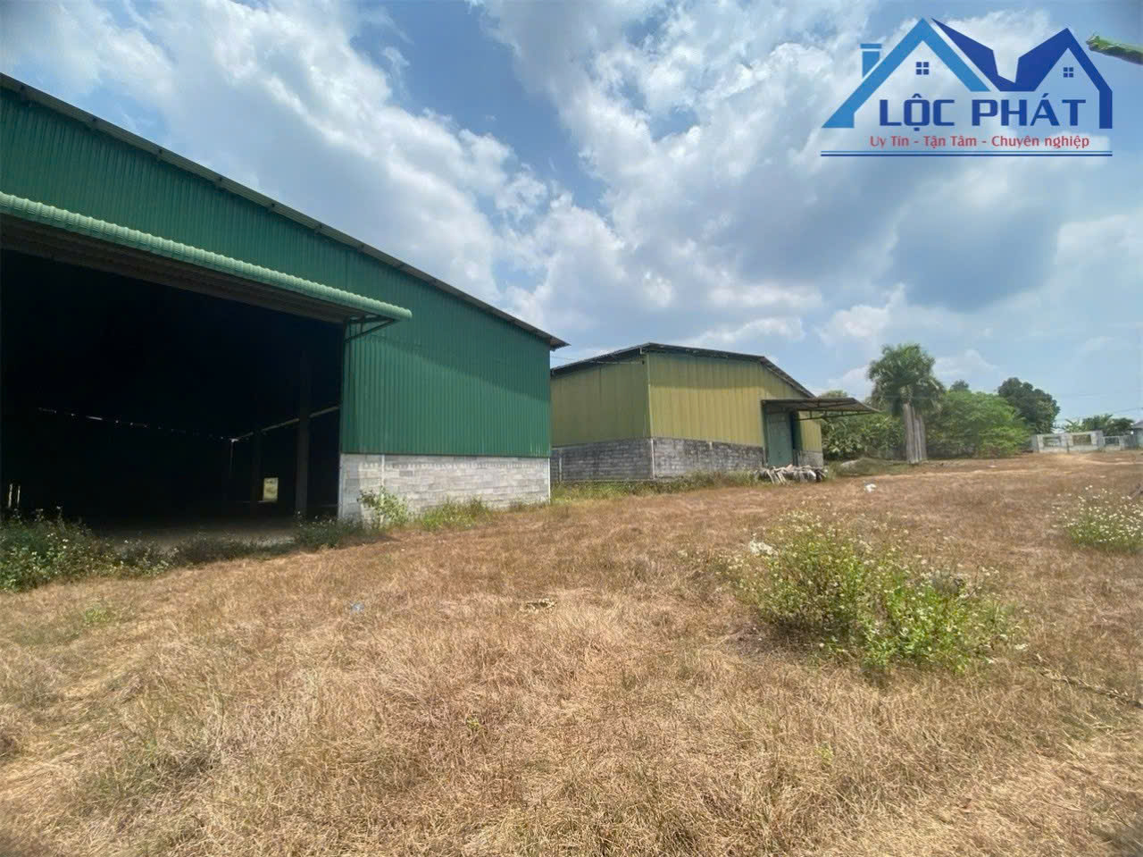 z7211636799799_67ec645b15cdc196848015eccb495161