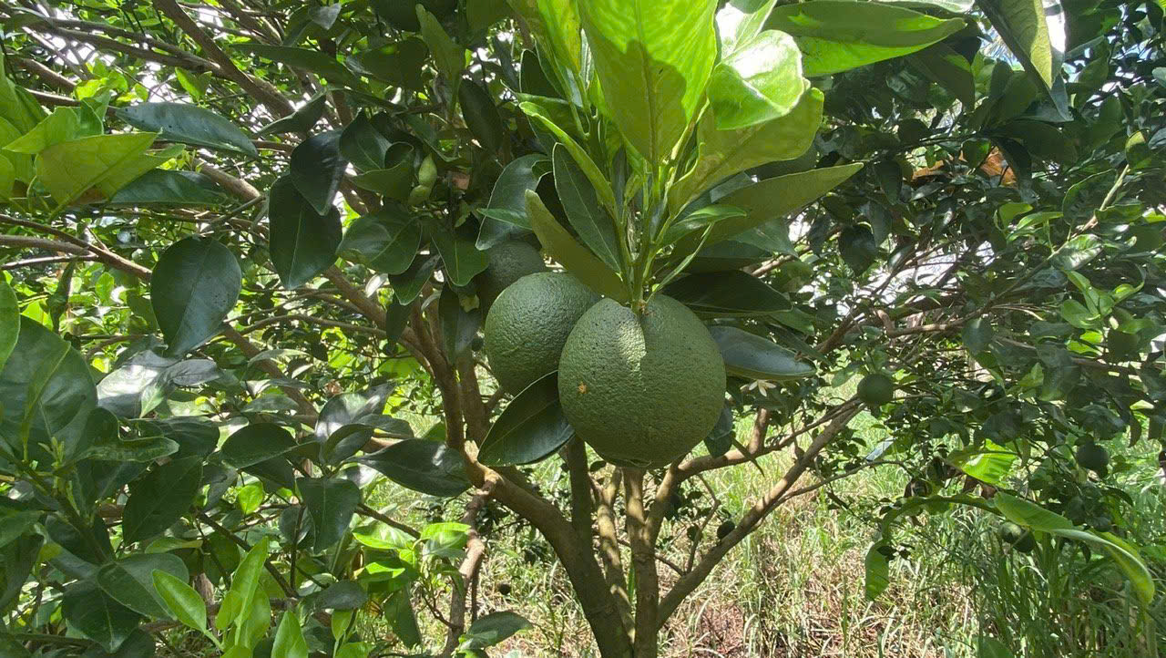 z7211637041447_254b49ee4f109443110752b19c17bf3a