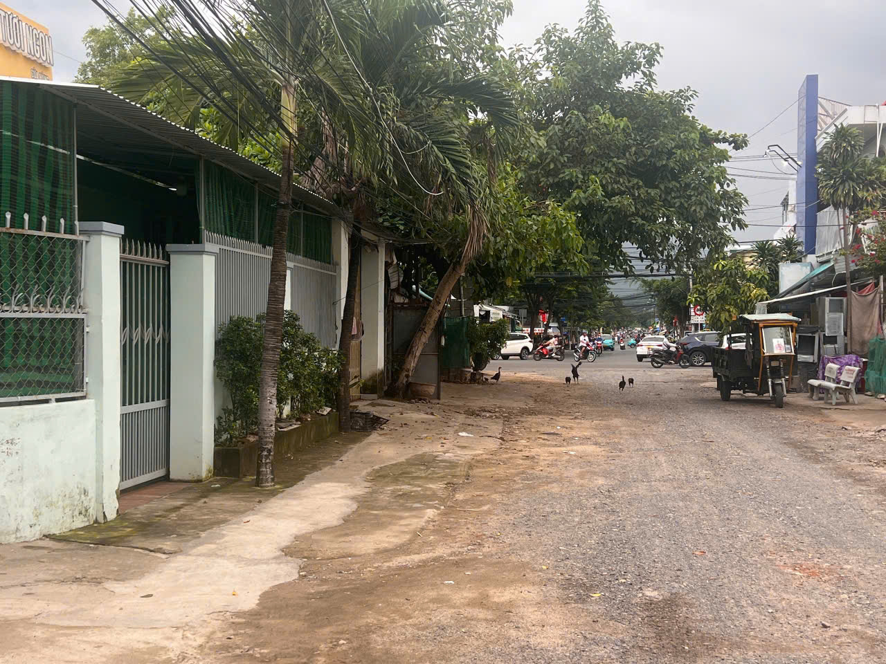 z7214860424704_e0277fea73211d2f4af10c8237ca2cfe