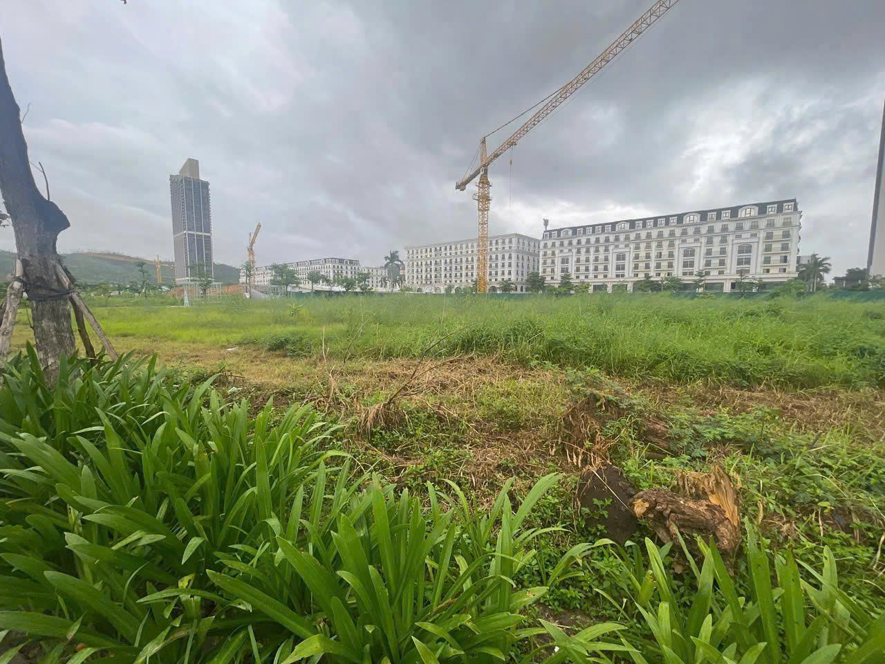 z7219749743272_bc19e744fd1696898905ab6323bc0d21