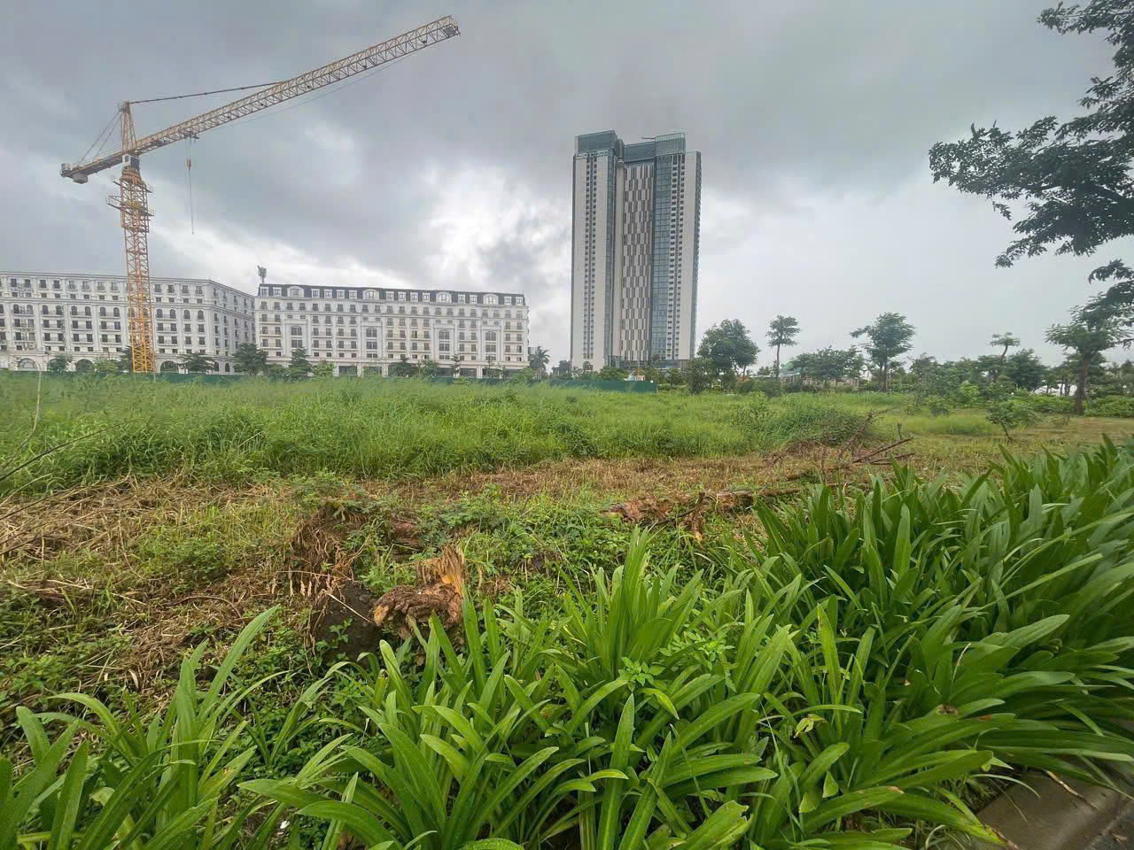 z7219749761932_77a7062199d1ea5aec800105879032ea