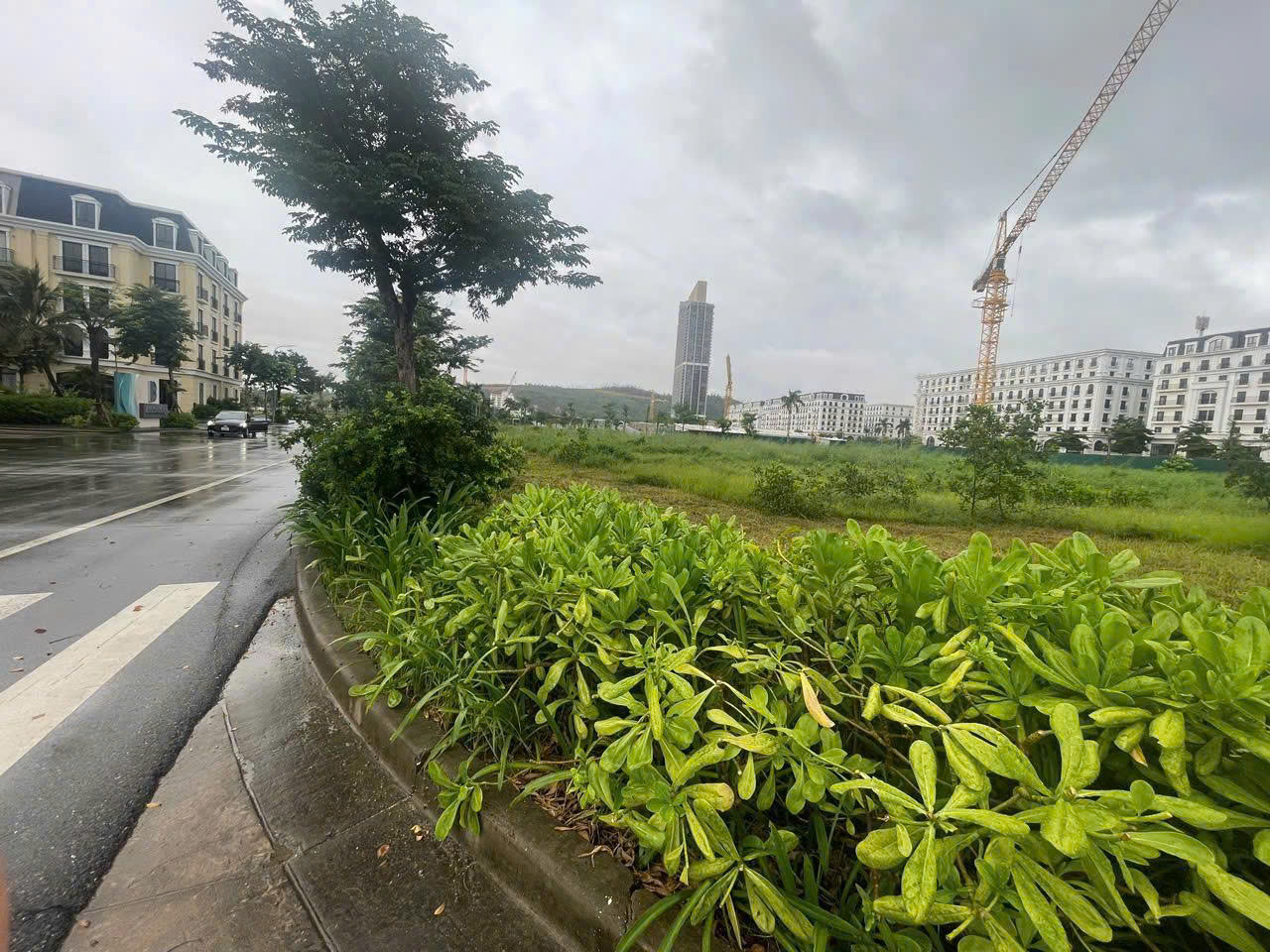 z7219749785028_0f74a74d850ee140ba9346b1cb803946