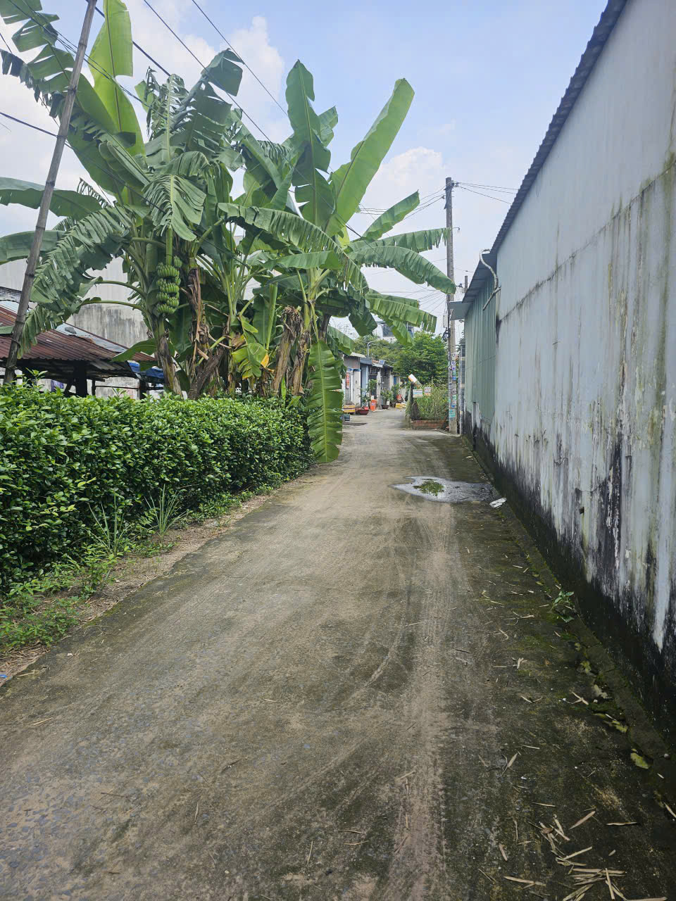 z7219836519848_d0fd1a896854c83e3d07e5c034e7db82