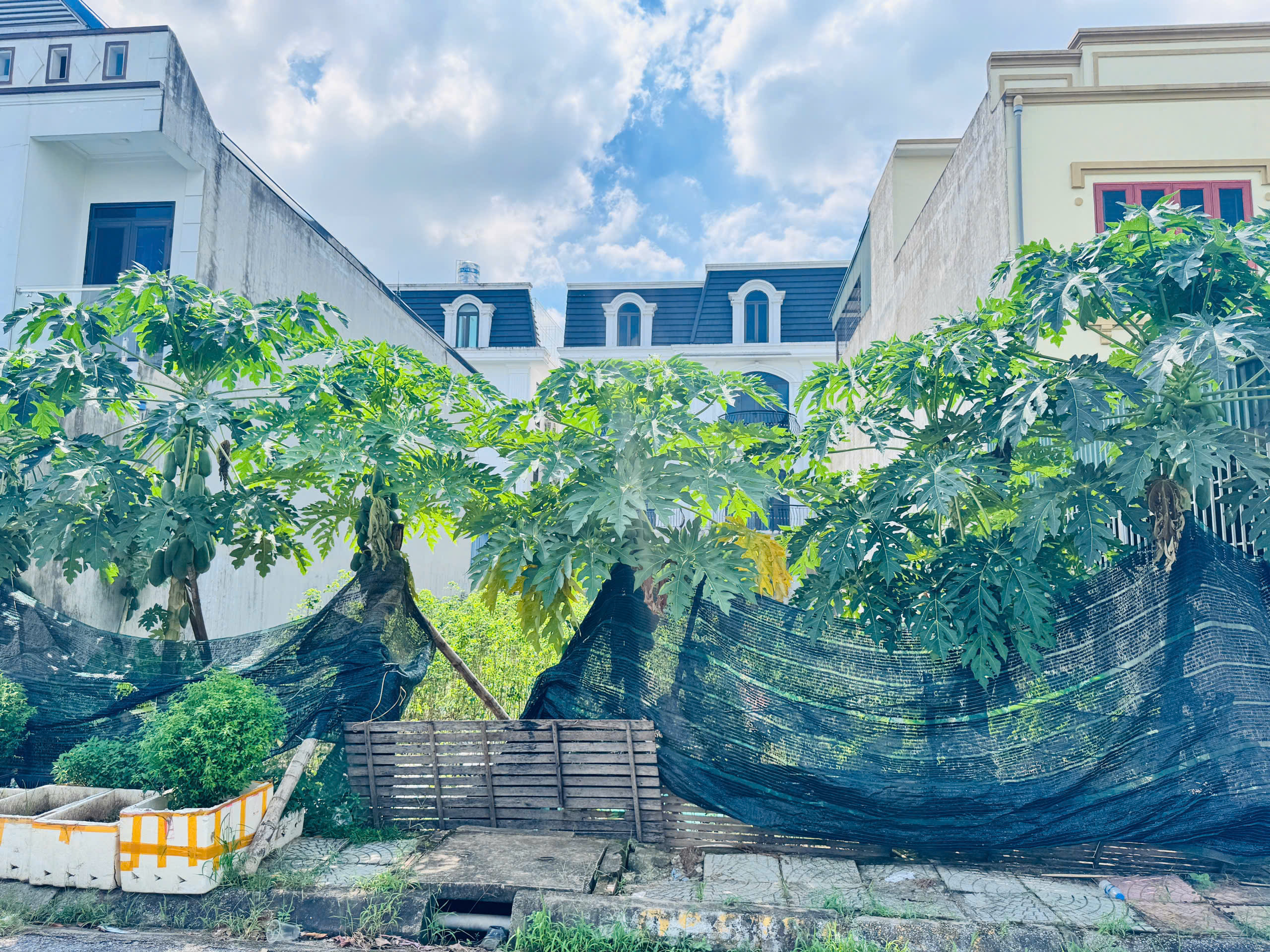 z7219838656691_53f2b555d1a61c28777ea21ead8f6753