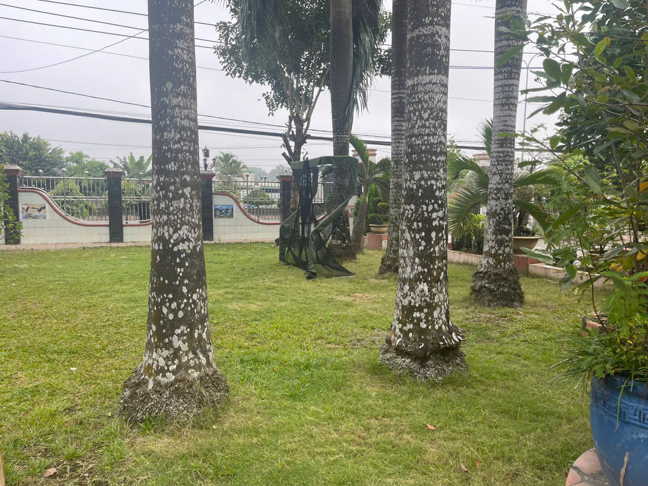 z7220631950633_60ffd6e81a584aba65514fac22885712