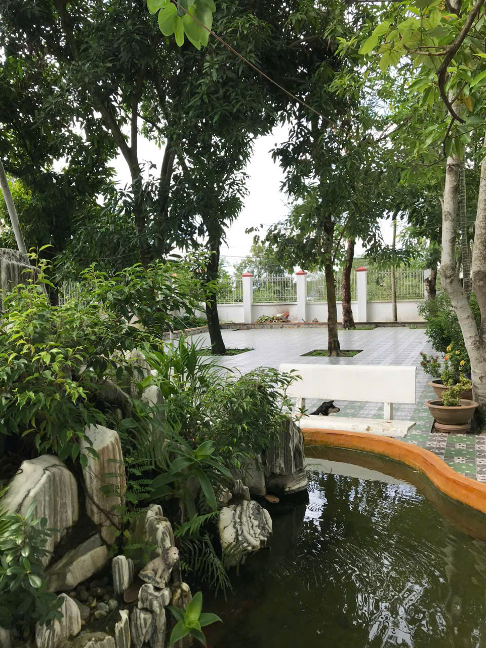 z7220631989906_1c3f7eeeda48448402761e9dbf3495ec