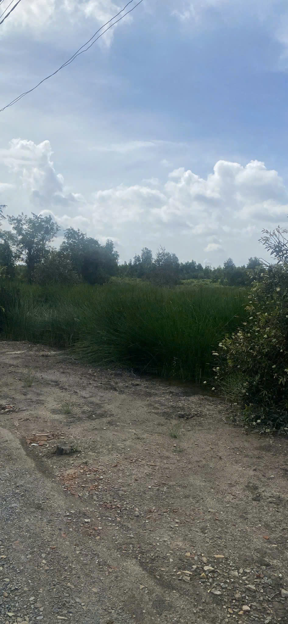 z7225621740695_dce8bad93367e0a09974f055d693f35e