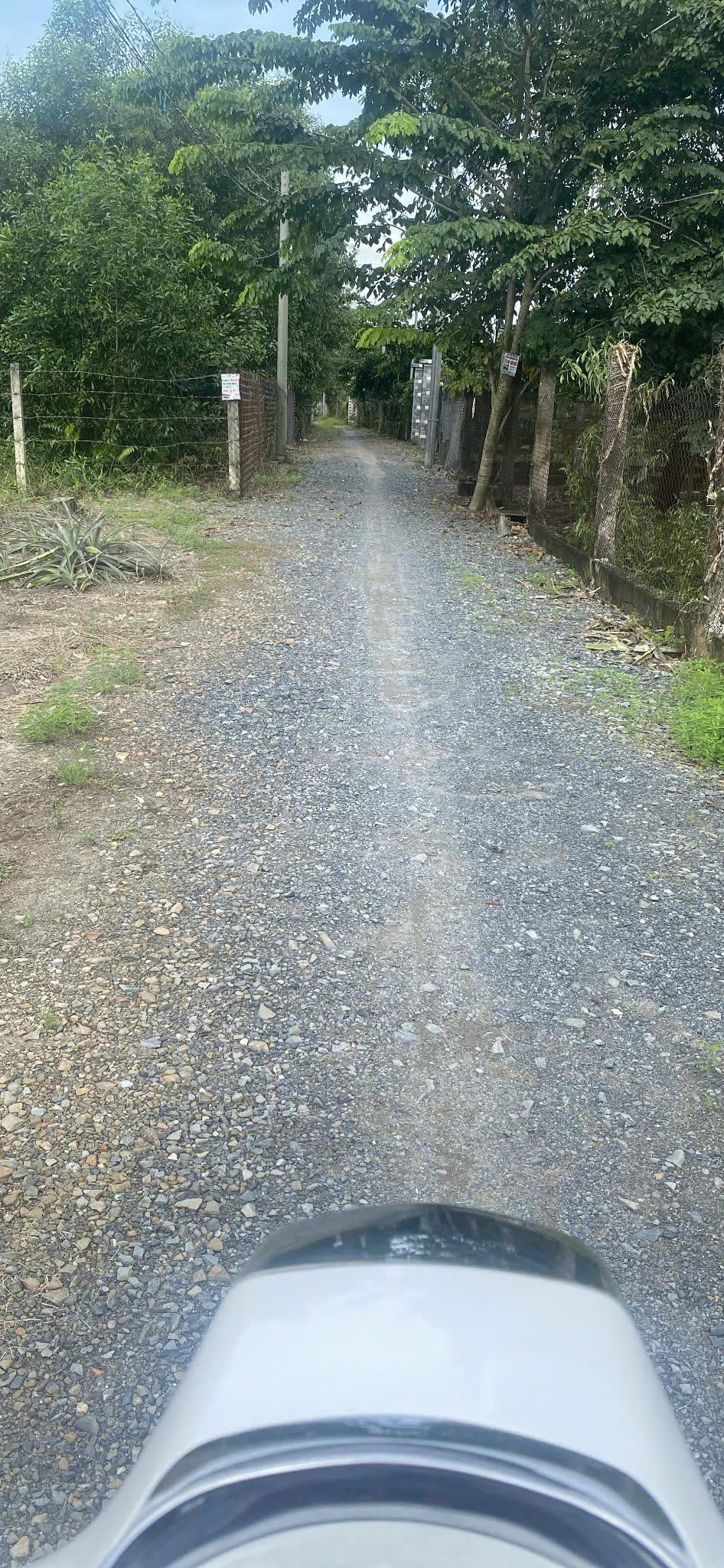 z7225621740696_15fa59dc8a6ea72fe9a9fe2e7339b2d5