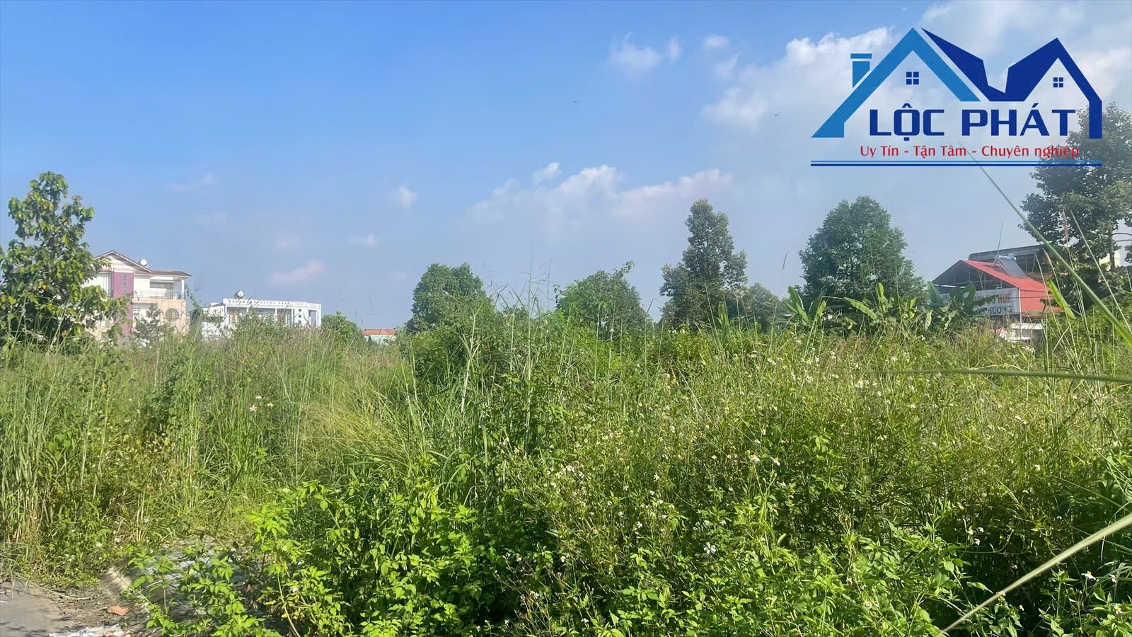 z7225873286960_94c51d0838f070ed4a56d4f11178eb4f