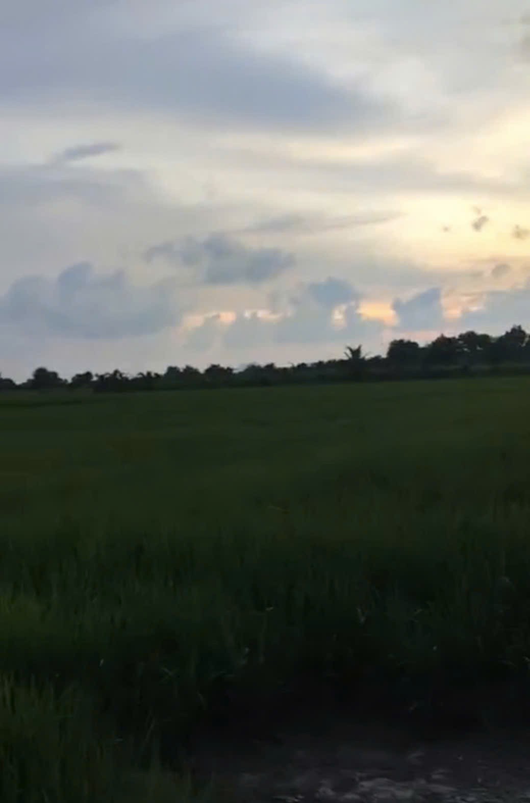 z7233964472237_f3e08d2f0b6abf7a3522666e1e64eb11