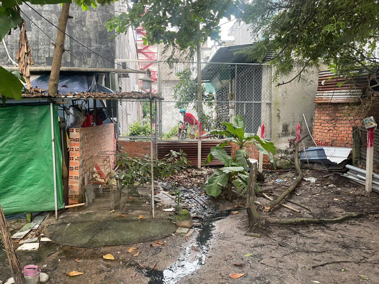 z7236310936654_866e59d4abf0eb67028534bec532e527