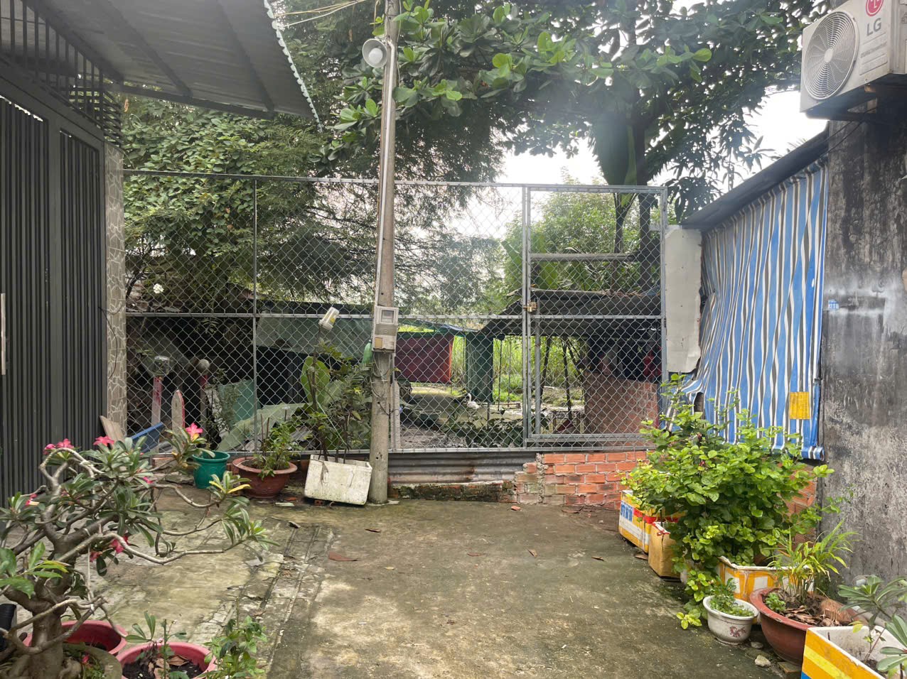 z7236310948065_20052a7fc20c642dac49c5fd0c84977d