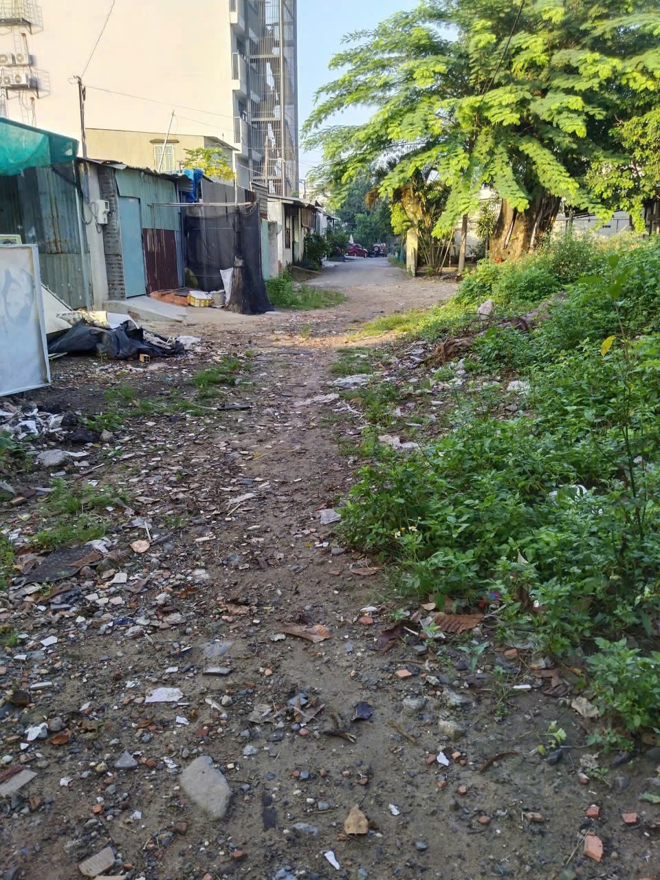 z7236322339809_d91facffc50ba275cd6358336c0c6106