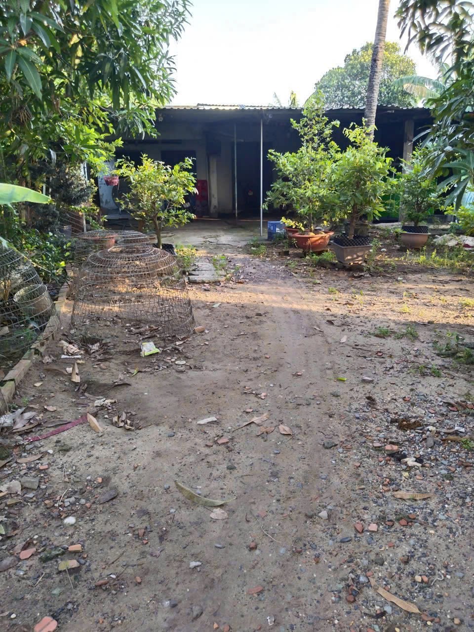 z7236322350144_e78aa6a5daeb3df38e3b9639772782f5