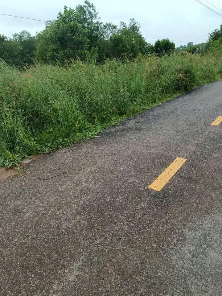 z7236352186560_2464bbad8ae0e6f07e3cb6699197dd26