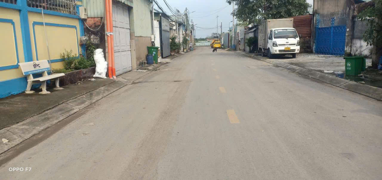 z7239061462227_626f26f68129f345820f60f696b89edf