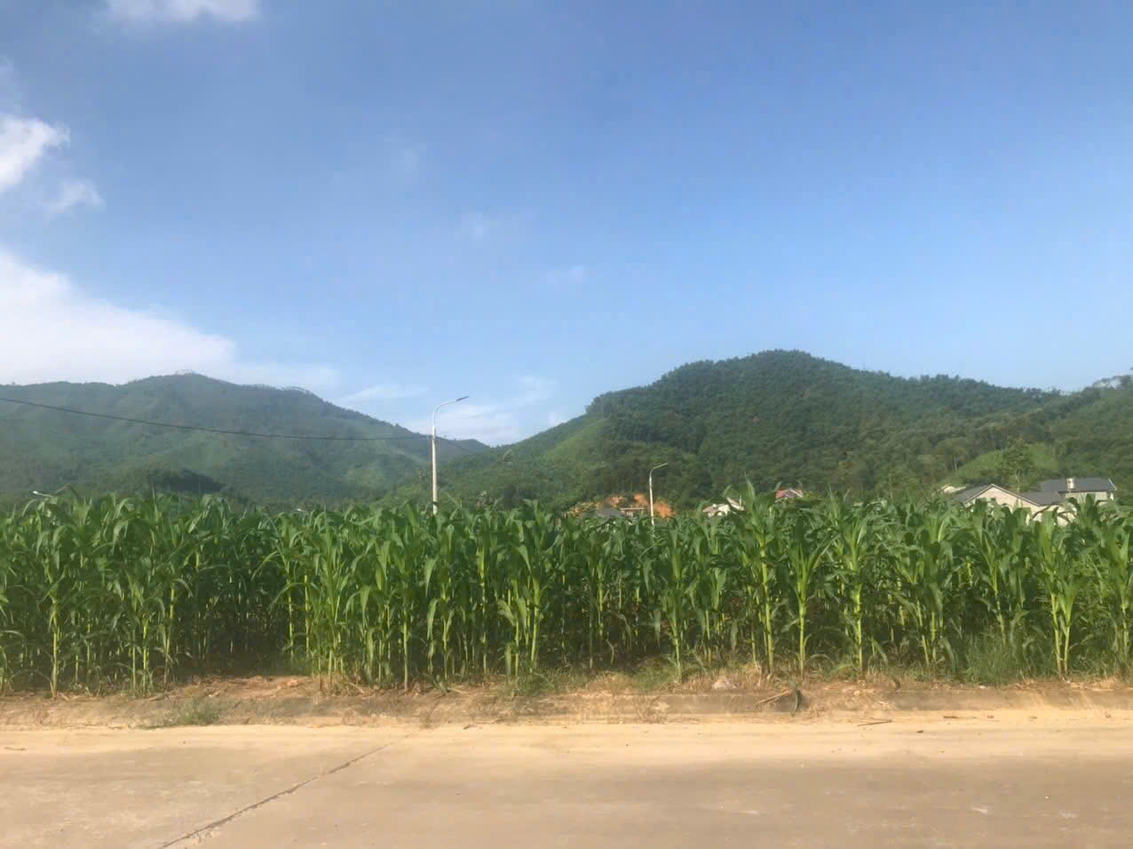 z7240197801354_8a649e76b92983c54b6be48af04e117d