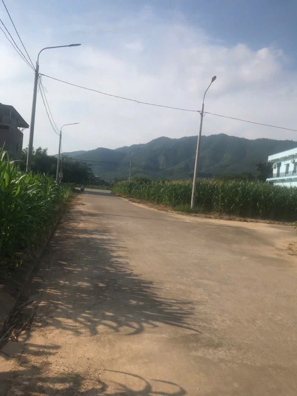 z7240197806730_f0967c050f7d251584707cf3e257c8e6