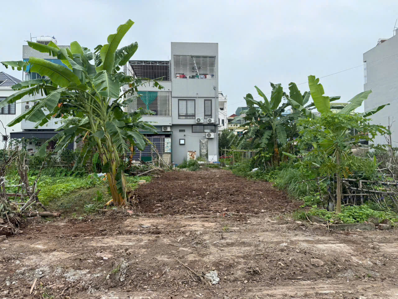 z7243232009602_c07e60b9489c84f4a964696e2b68995a