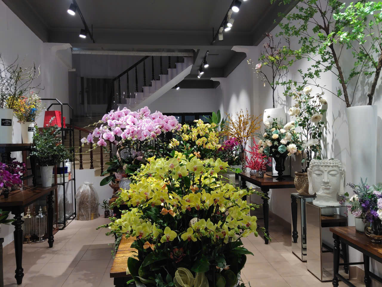 z7247287435428_68f01f9cdbeb988b3c8751ce4787ccdf