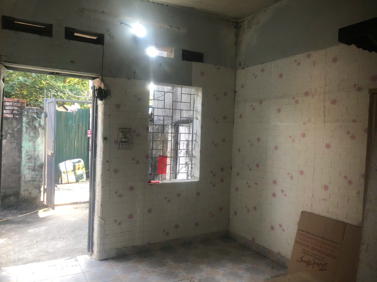 z7254144623395_4c2020aa0cc1cdf8fa5916f8c46ceb6a (1)