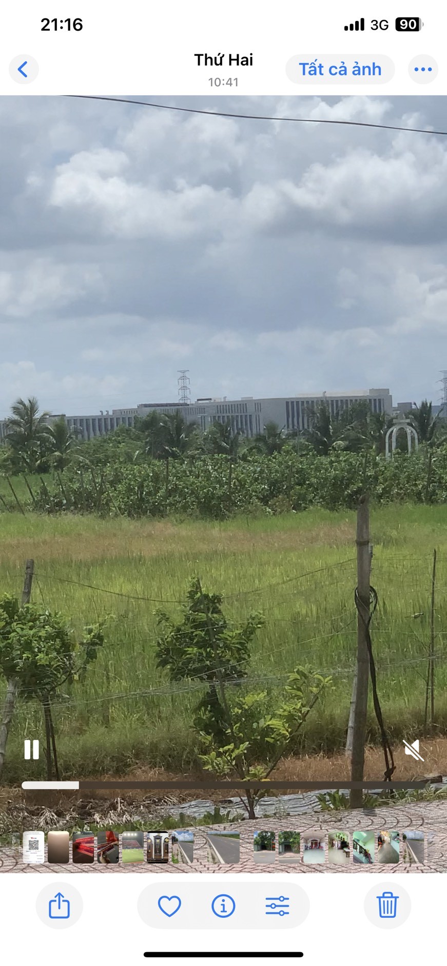 z7255152458633_28eccf86a2c1df6cc56f0c19bc9f38da