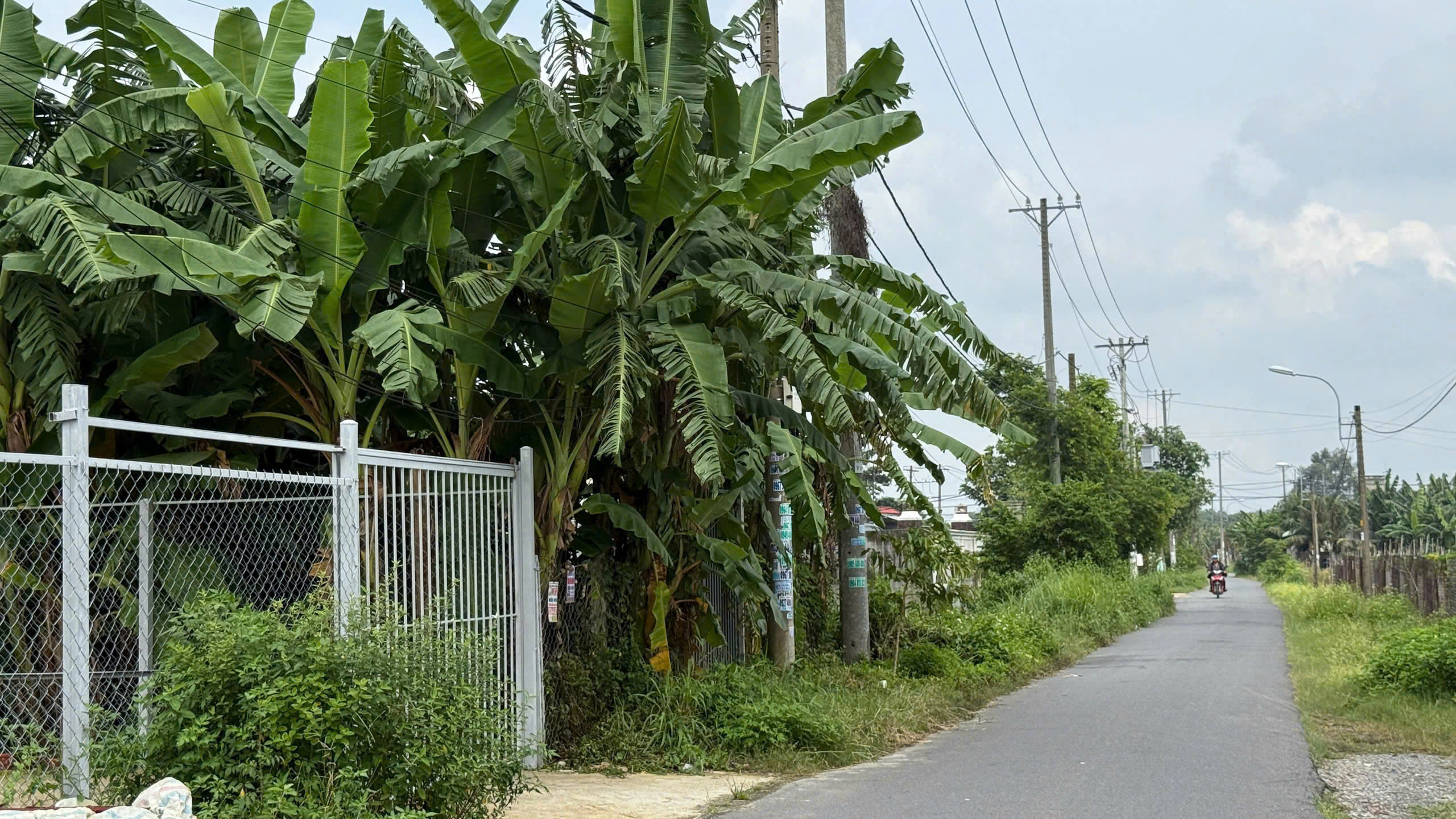 z7256362623608_3ba988e2352fd68b881eb4a316ff0628