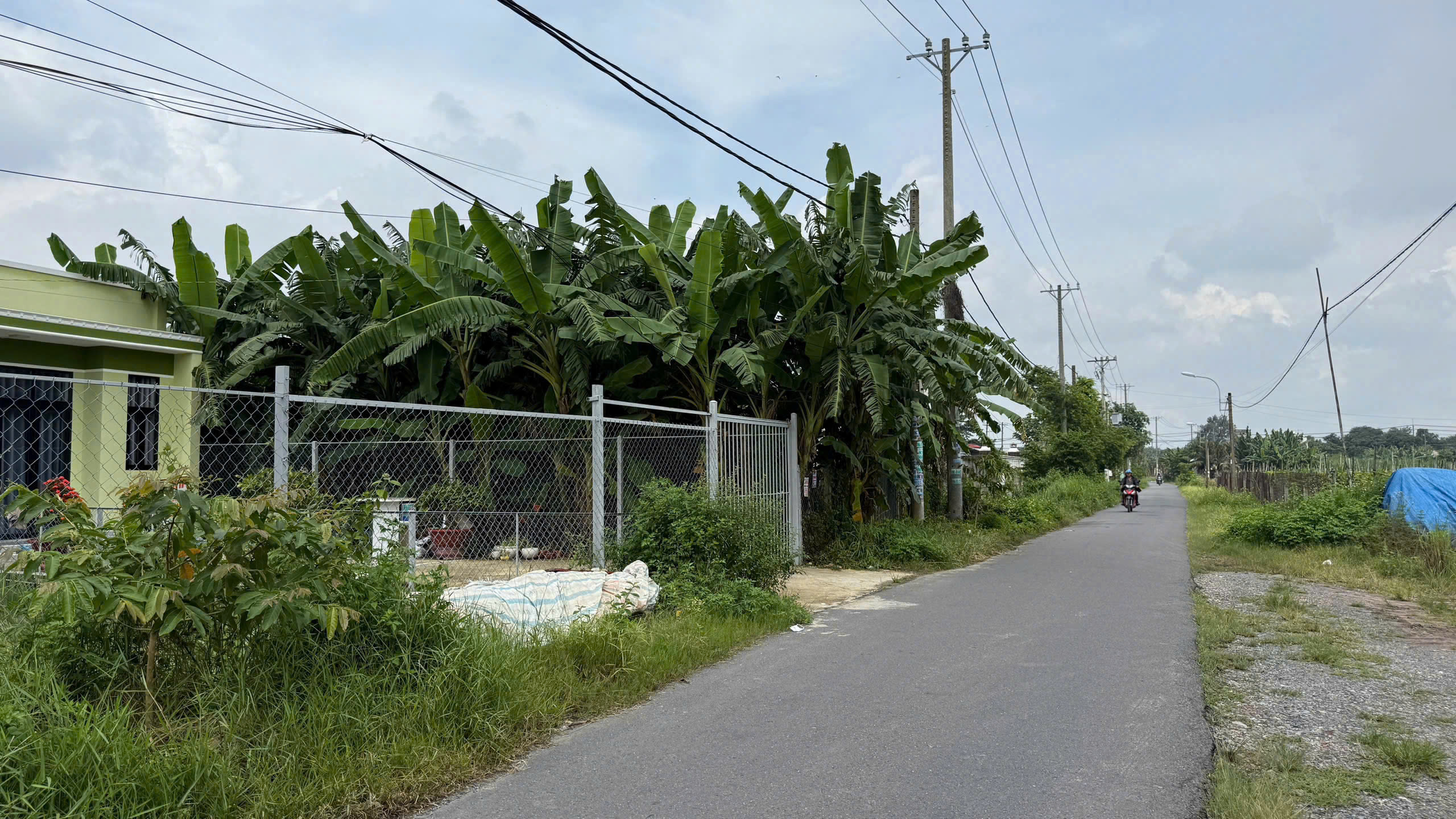 z7256362931402_42bddacd0364fd77700ecce77f8d8e47