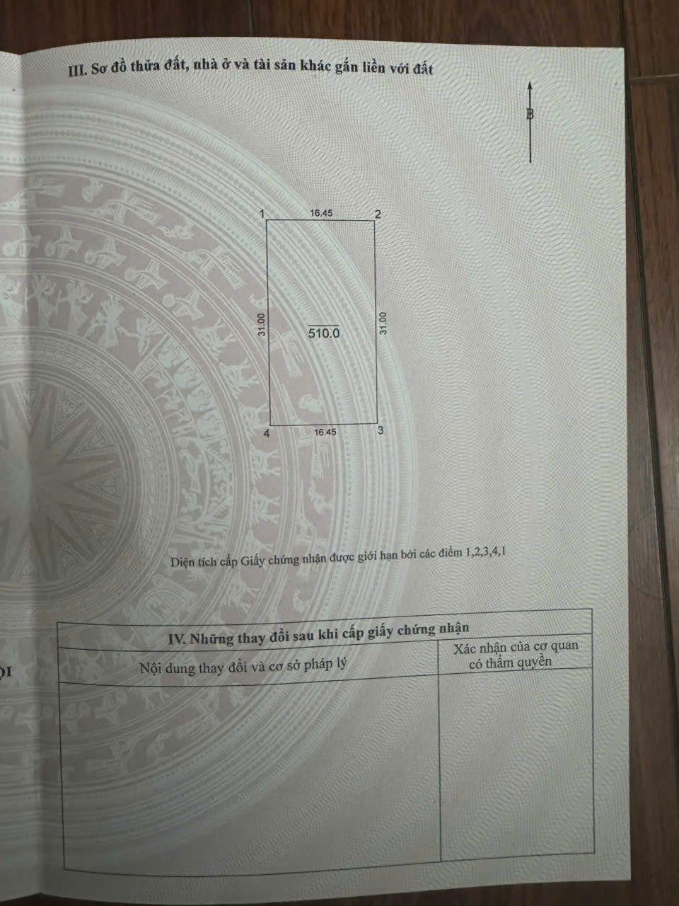 z7256849257931_f6e87acf159beca9daace7b6dab7febe