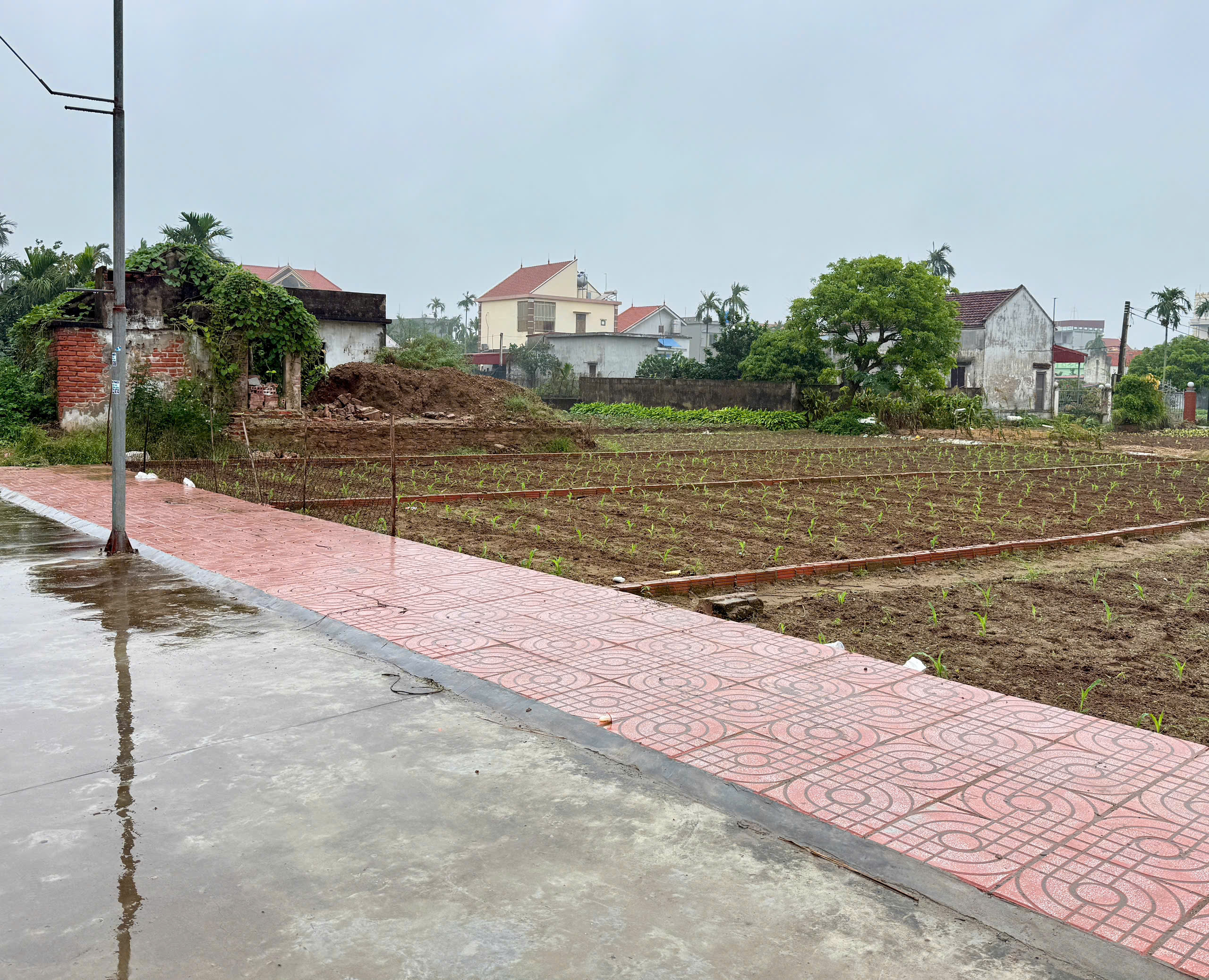 z7257112437154_21e6eee4345f19fad9c4411c4ed2f6c5