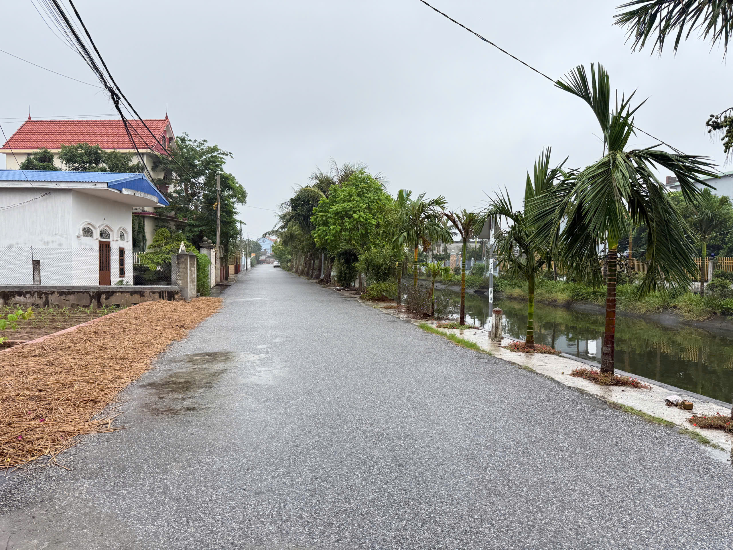 z7257112462126_cc415e5ed360fc2d15297b4c7513d508