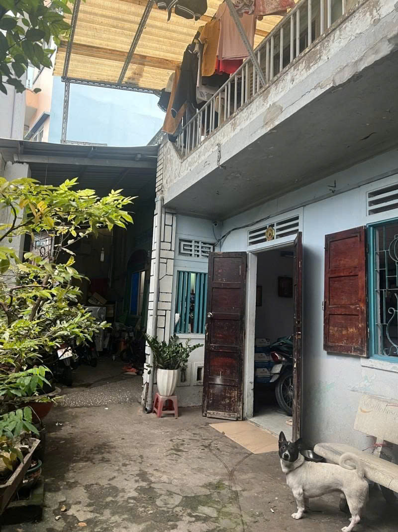 z7263261468192_85e0390ea4976fe6f42e6ee66371a6df