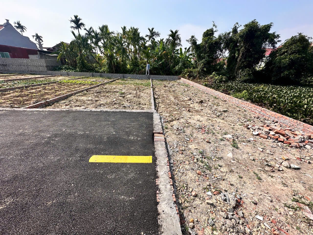 152917917476778941949