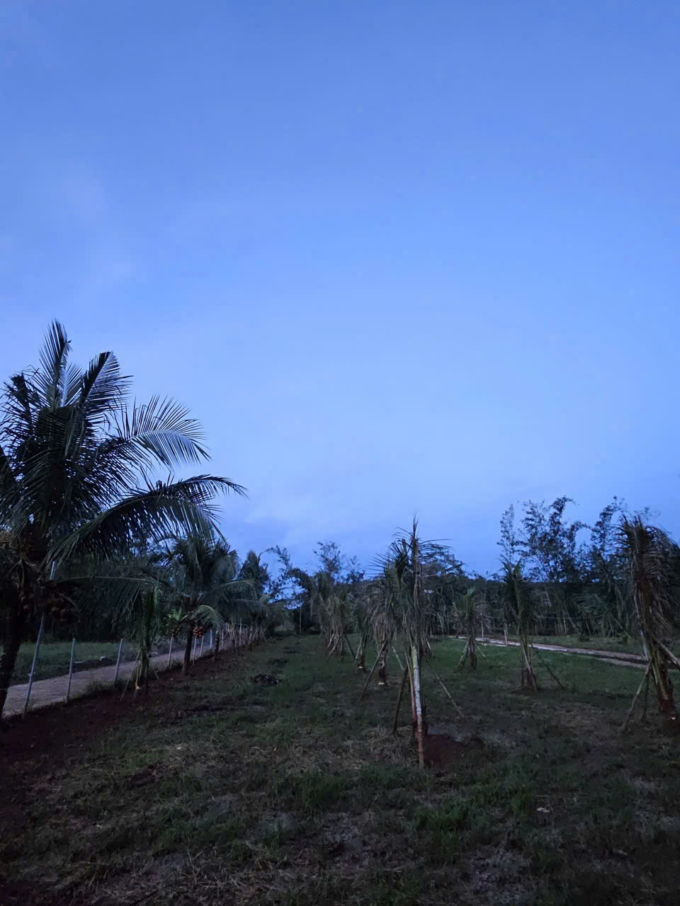 1b01abc6dcc0539e0ad1