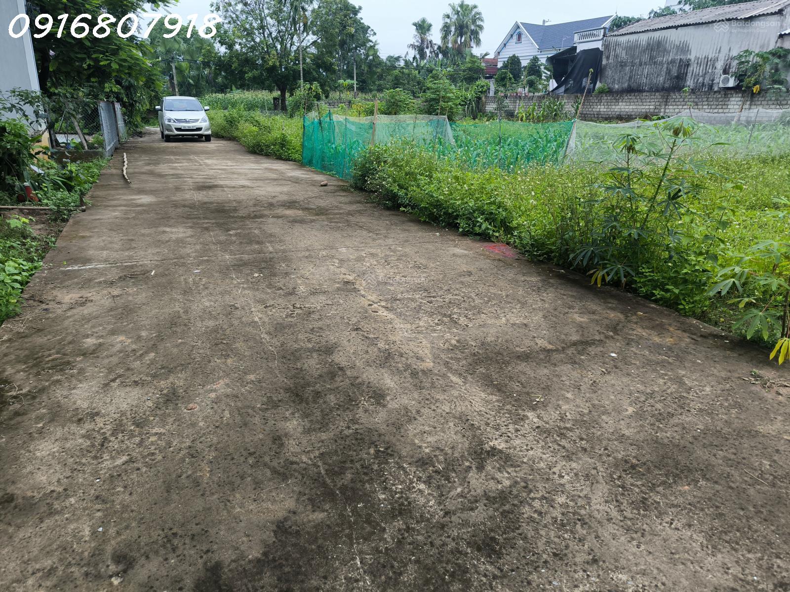 20251121141335-cb06_wm