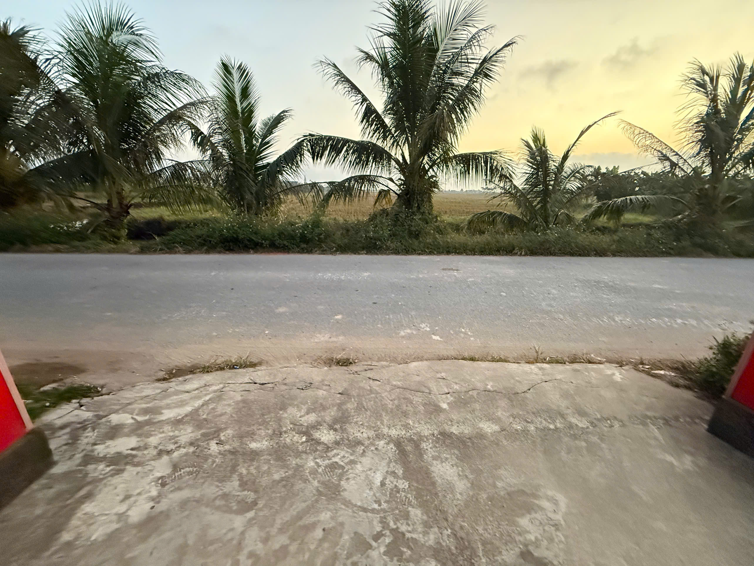 2148987768615982492 (1)