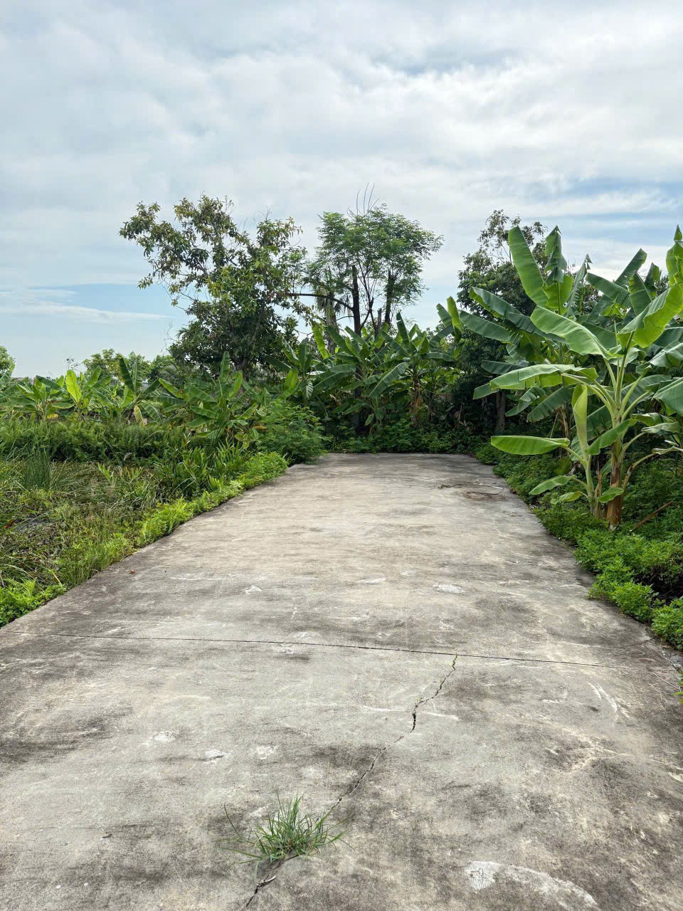 226770087772561810383