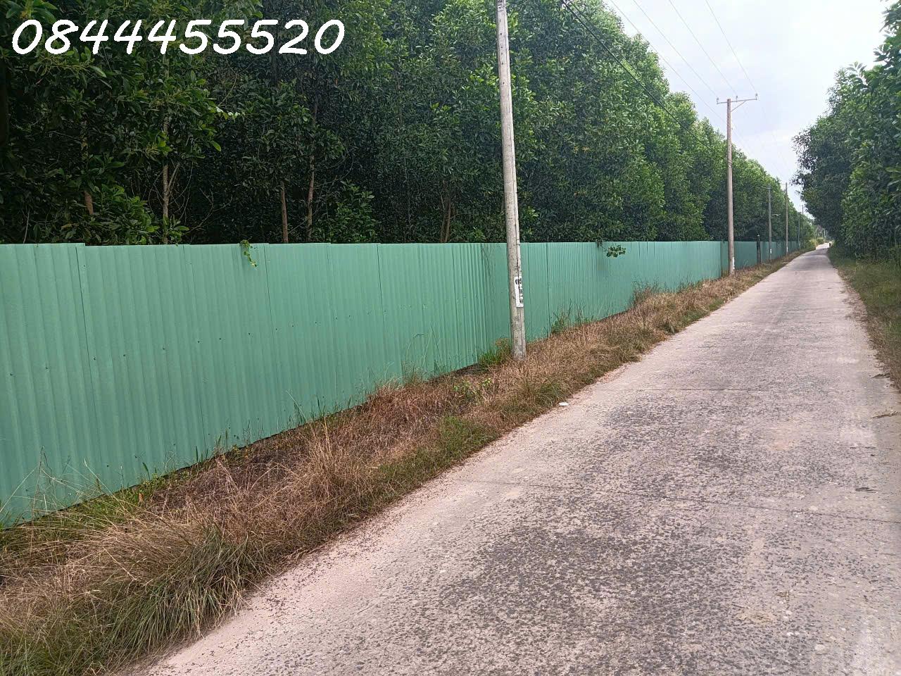 24959322-38d6-4530-9b71-8f16f319d828