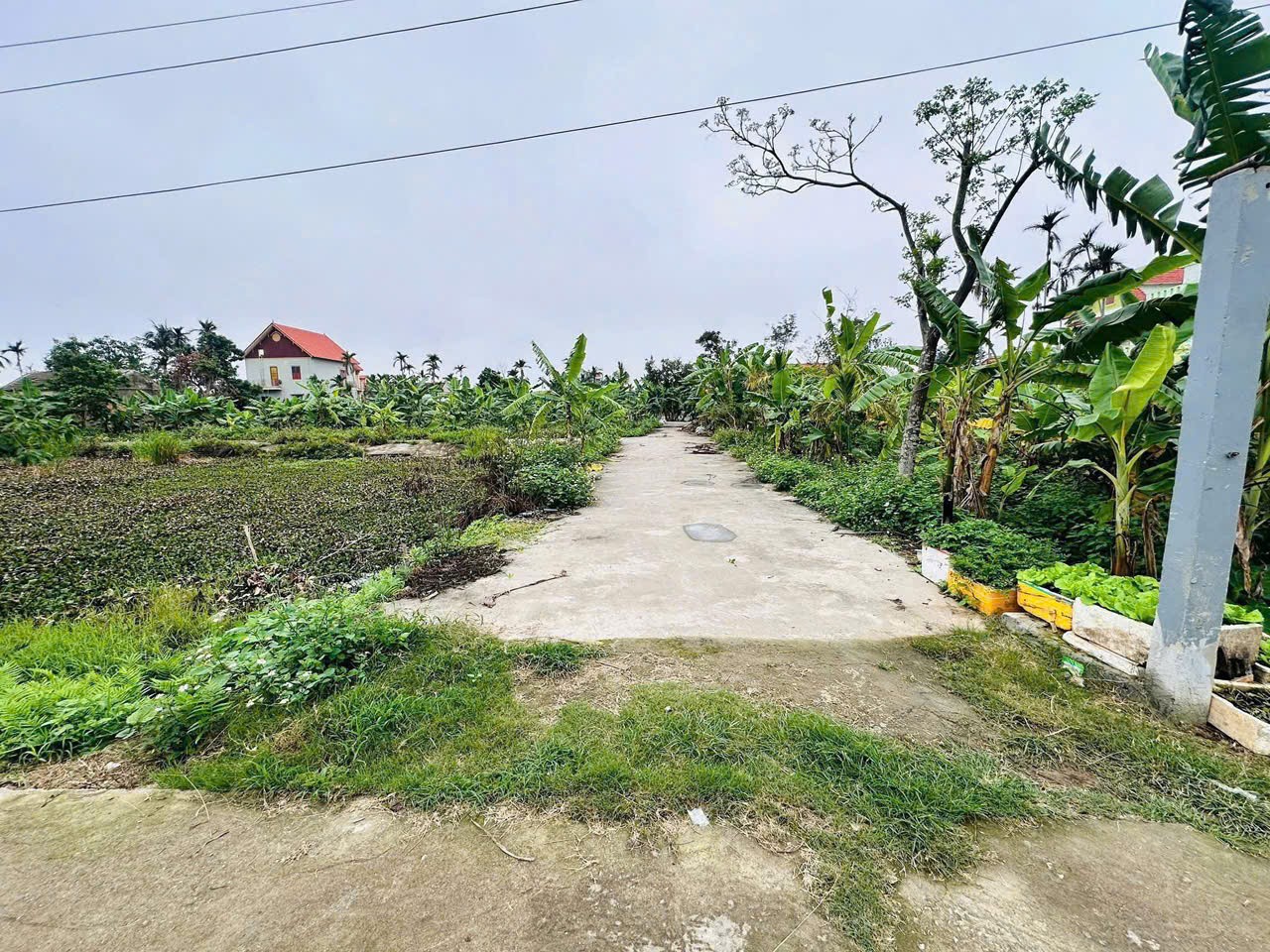 351410808529003773881