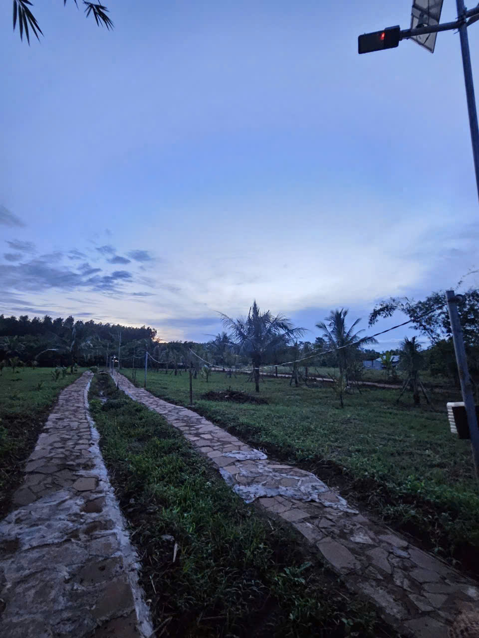 3758435965204486306_(6)