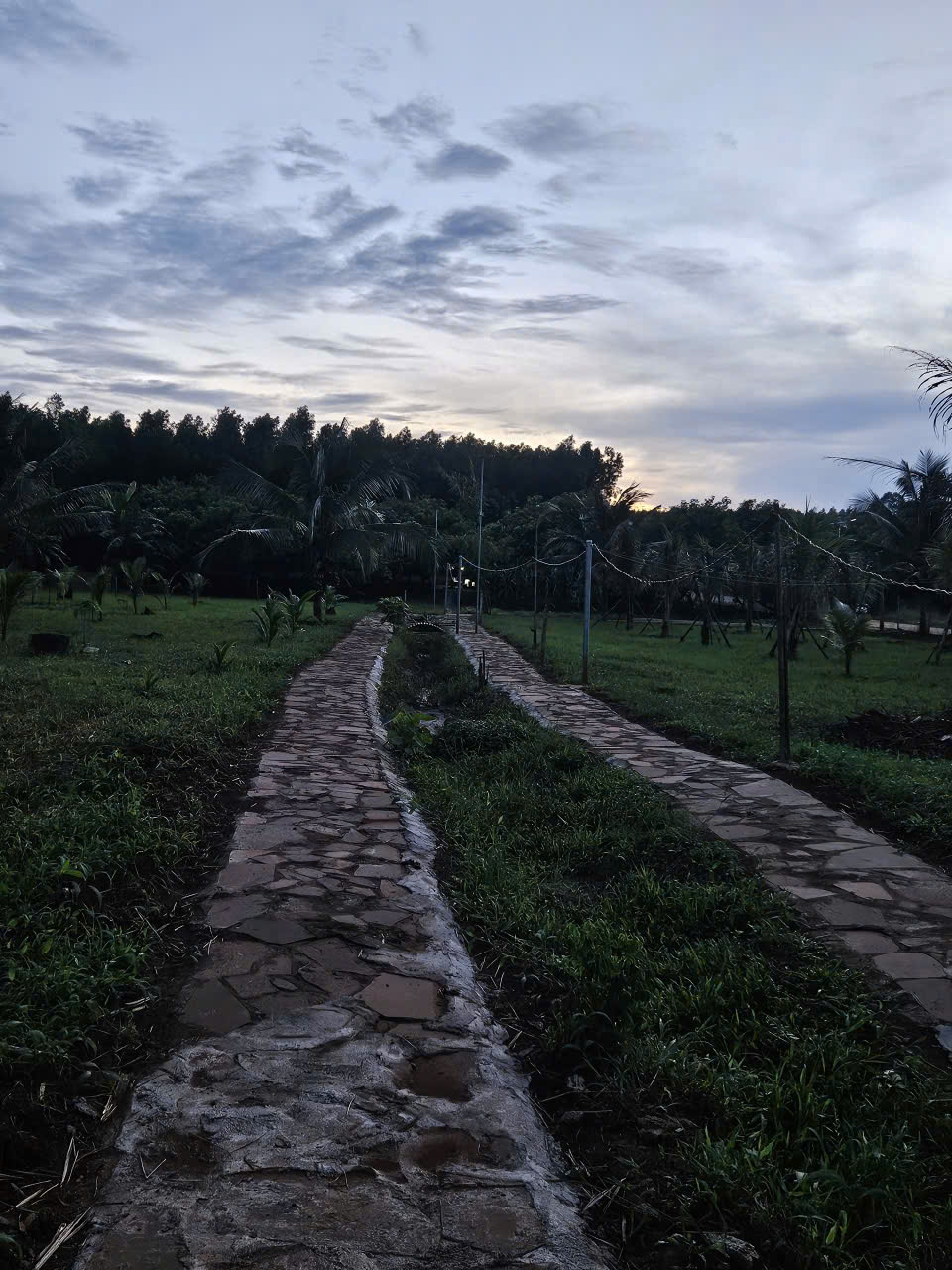 3758435965204486306_(7)